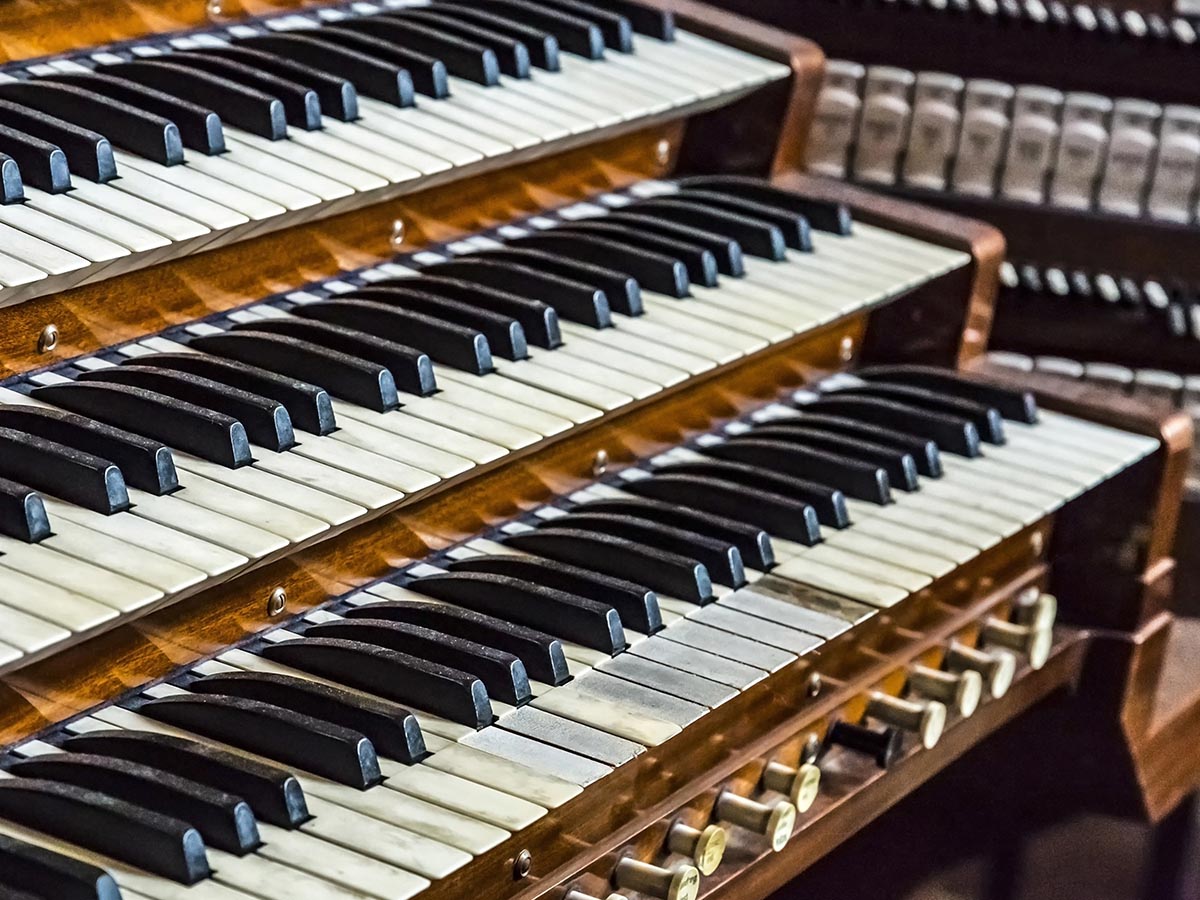Musical organ