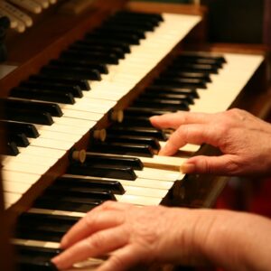 person playing organ
