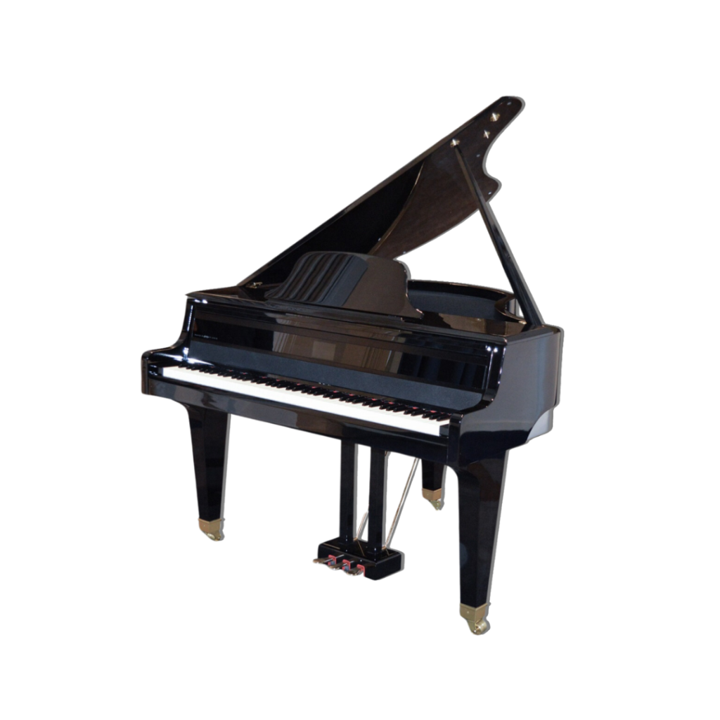 Hybrid Piano - Physis G1000